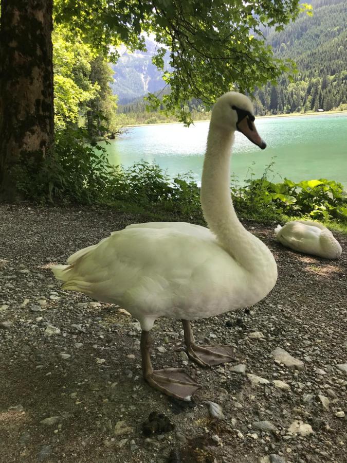 Haus Erika Lägenhet Wagrain Exteriör bild